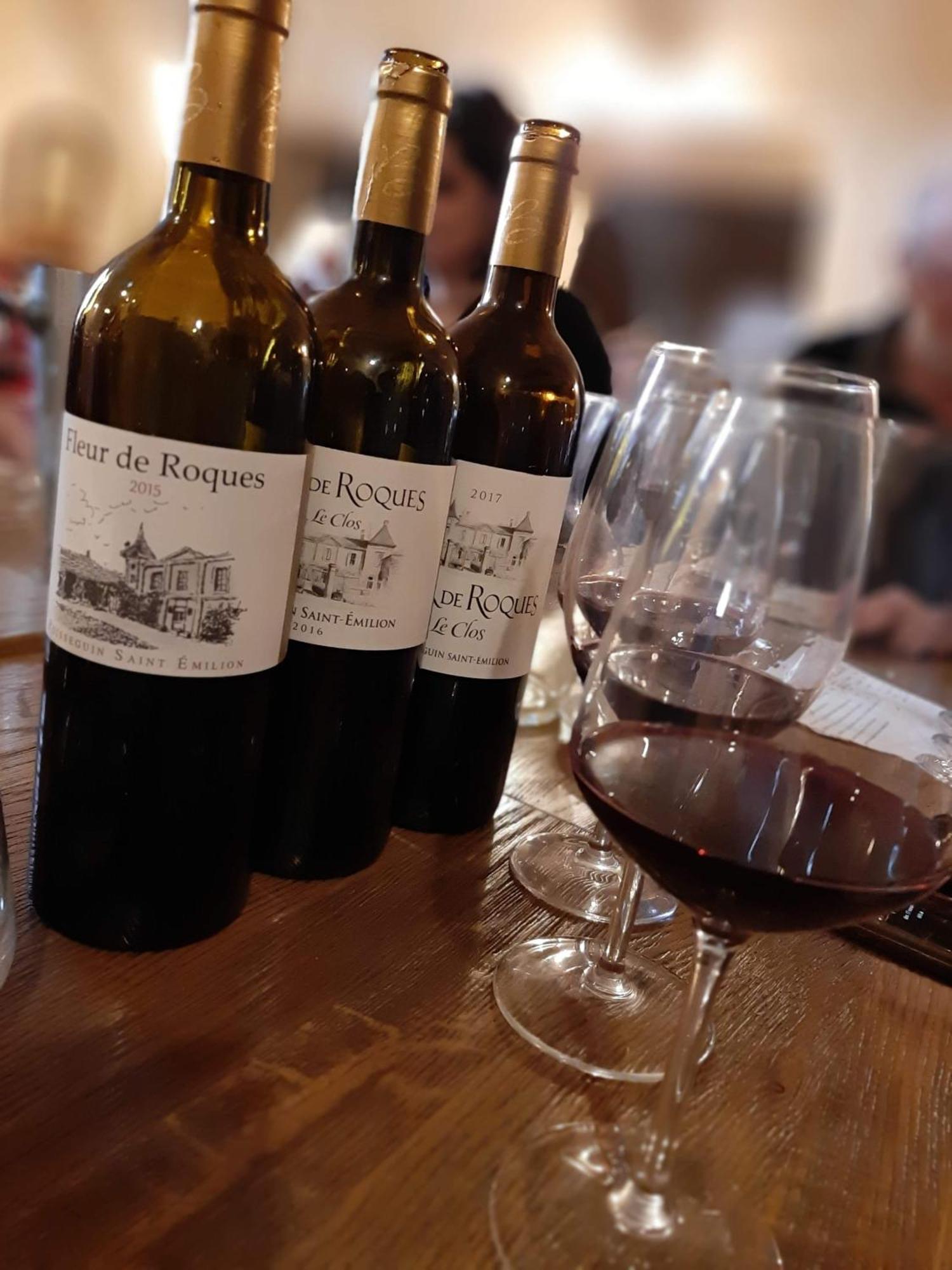 Hotel Chateau Fleur De Roques - Saint Emilion Puisseguin
