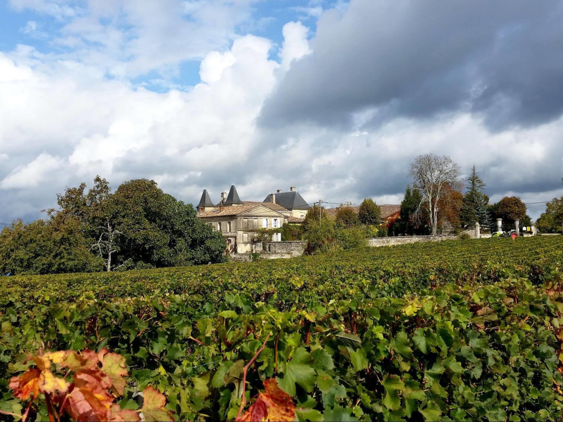 Chateau Fleur De Roques - Saint Emilion Hotel 3*